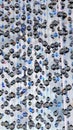 Black and blue beads threaded curtain, blurred background Royalty Free Stock Photo