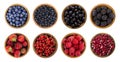 Black-blue and red berries isolated on white background Royalty Free Stock Photo