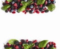 Black-blue and red berries isolated on white. Ripe blackberries, blueberries, raspberries, cornels and basil leaves on white backg Royalty Free Stock Photo