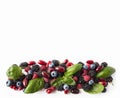 Black-blue and red berries isolated on white. Ripe blackberries, blueberries, raspberries, cornels and basil leaves on white backg Royalty Free Stock Photo