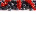 Black-blue and red food at border of image with copy space for text. Ripe blueberries, blackberries, and red currants on white bac Royalty Free Stock Photo