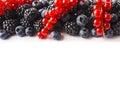 Black-blue and red food at border of image with copy space for text. Ripe blueberries, blackberries, and red currants on white bac Royalty Free Stock Photo