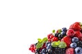 Black-blue and red food on a white. Ripe blackberries, blueberries, currants, raspberries, strawberries with mint on a white backg Royalty Free Stock Photo