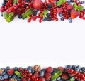 Black-blue and red fruits. Ripe red currants, strawberries, raspberries, blackberries, blueberries and blackcurrants on white back Royalty Free Stock Photo