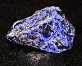 Sodalite isolated stone Royalty Free Stock Photo