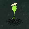 Black Board Background and Chalk. Vector Illustration of Sprout with Seed and Roots. Seedling, Shoot, Sapling Gardening Plant. Han