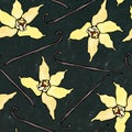 Black Board Background. Vanilla Stick and Flower Seamless Endless Pattern. Vanilla Pod and Blossom Seasonal Background. Spice and Royalty Free Stock Photo