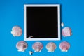 Black board for notes on blue vackground with shells Royalty Free Stock Photo