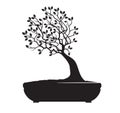 Black Bonsai Tree. Vector Illustration