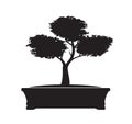 Black Bonsai Tree. Vector Illustration Royalty Free Stock Photo