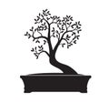 Black Bonsai Tree. Vector Illustration Royalty Free Stock Photo