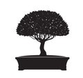 Black Bonsai Tree. Vector Illustration