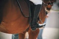 The black boot of the rider rests on a metal stirrup Royalty Free Stock Photo