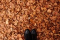 Black boots on orange autumnal leaves foliage copy space