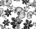 Black Botanical Set. White Orchid Wallpaper. Hibiscus Backdrop. Flower Jungle. Watercolor Backdrop. Seamless Backdrop. Pattern Pal