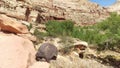 Black Boulder on Johnson Mesa