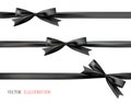 Black Bow With Ribbon. Vector Set Of Beautiful Bows