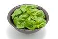 Black bowl with fresh basil leaves Royalty Free Stock Photo