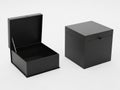 Black box with lid open and closed Royalty Free Stock Photo