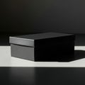 Black Box with Silver Lid Royalty Free Stock Photo