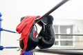 Black boxing gloves and red hand wraps hanging on ring ropes Royalty Free Stock Photo