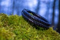 Black braided leather bracelets on moss Royalty Free Stock Photo