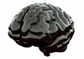 Black Brain on White Background. 3D Render