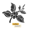 Black branch of coffee tree with leaves and natural coffee beans. Silhouette, shape. Vector Royalty Free Stock Photo