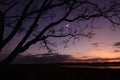 Waning moon and stars in  early morning sky Royalty Free Stock Photo