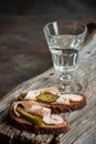 Black bread with the softened bacon  as  snack and vodka in glass shot Royalty Free Stock Photo