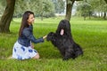 Black briard dog gives paw to female outside.