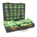 Black briefcase of money