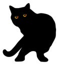 Black british short-haired cat silhouette Royalty Free Stock Photo