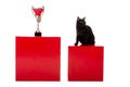 black british shorthair cat sitting on red cube near golden trophy cup wrapped by medals