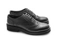 Black brogue Royalty Free Stock Photo