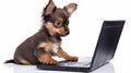 Adorable Puppy Using Laptop In A Futuristic Setting