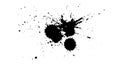 black brush color splatter painting water color in grunge style graphic element on white background Royalty Free Stock Photo