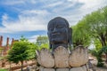 The Black buddha head or Rahu in a temple in Phra Nakhon Si Ayutthaya province near Bangkok, Thailand. Ancient temple. Famous Royalty Free Stock Photo