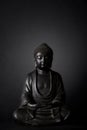Black buddha meditating statue Royalty Free Stock Photo