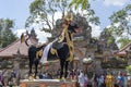 The black buffalo during Bade cremation ceremony on central street in Ubud, Island Bali, Indonesia . Prepared for an upcoming