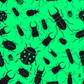 Black bugs and beetles green seamless pattern Royalty Free Stock Photo