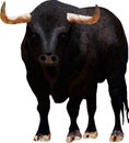 Black bull drawn with triangles Royalty Free Stock Photo