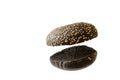 Black burger bun empty isolated. American food classic burger round bread isolated at white background. levitating at