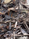 Black burned timbers planks and debris in a collapsed house destroyed by fire Royalty Free Stock Photo