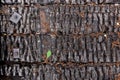 Black burnt wall of house of wooden planks with embossed texture and metal buckles. background for copy space. concept of loss of Royalty Free Stock Photo