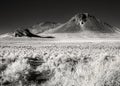 Black Butte, northern Nevada desert