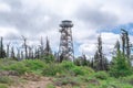 Black Butte Tower in Trees Royalty Free Stock Photo