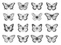 Black Butterflies Vector Simple Silhouettes. Butterfly and moth stroke sketch set Isolated on White Background Icons Royalty Free Stock Photo