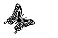 Black butterfly cut out of paper on a white background. Royalty Free Stock Photo