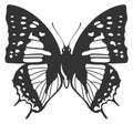 Black butterfly silhouette with beautiful shape wings pattern Royalty Free Stock Photo